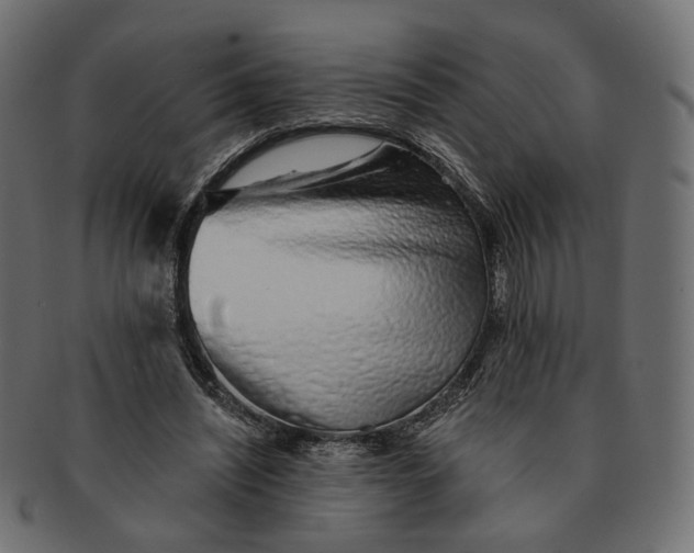 X0000091530444200709071044