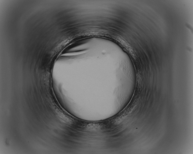 X0000091530445200709071044