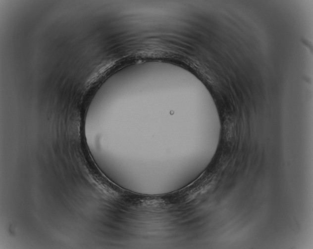 X0000091530446200709071044