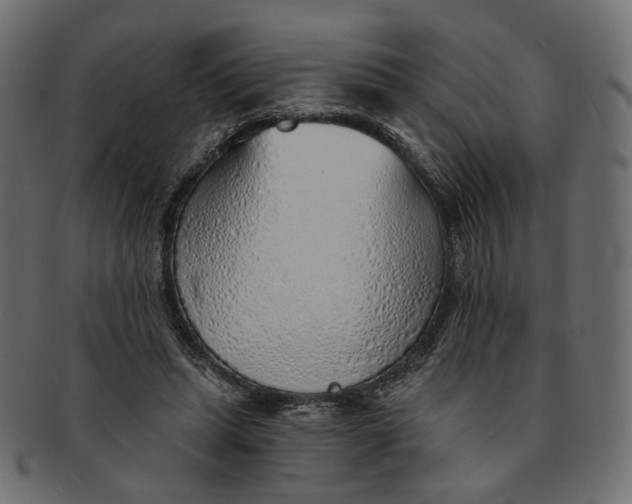X0000091530447200709071044