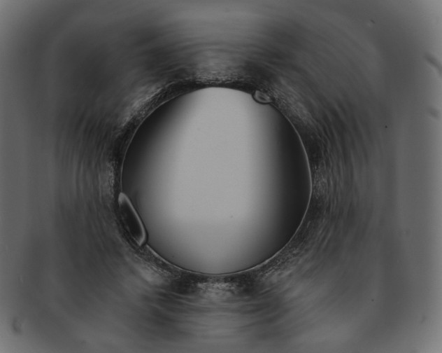 X0000091530448200709071044