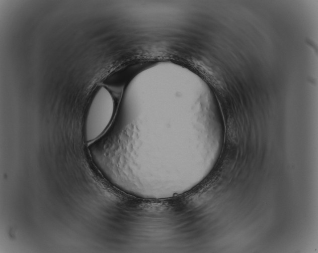 X0000091530449200709071044
