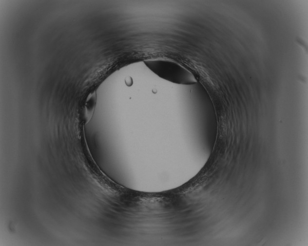 X0000091530450200709071044