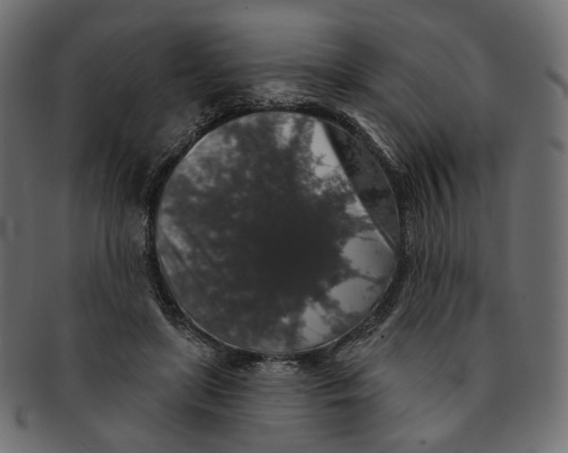 X0000091530451200709071044