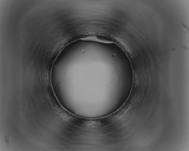 X0000091530453200709071044