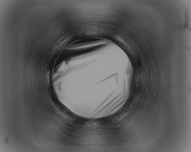X0000091530454200709071044