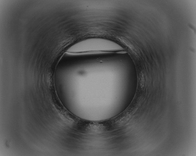 X0000091530455200709071044