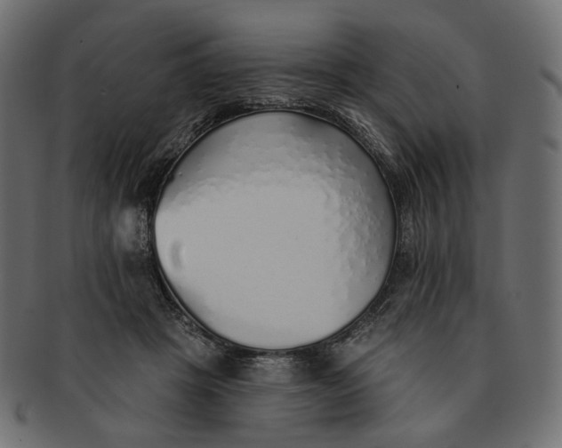 X0000091530457200709071044