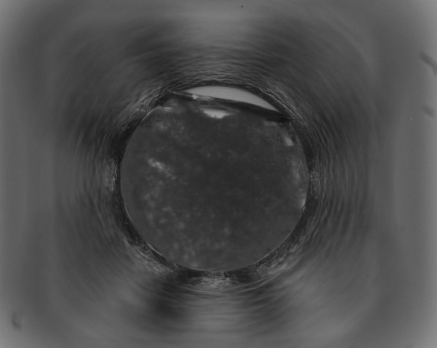 X0000091530458200709071045