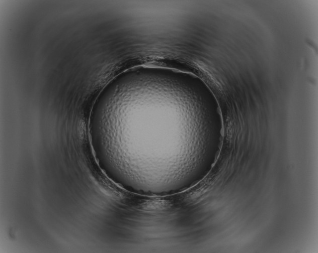 X0000091530459200709071045