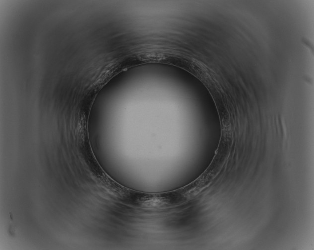 X0000091530460200709071045