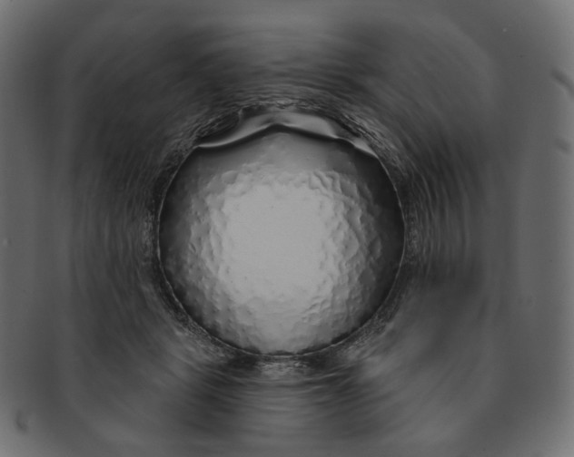 X0000091530461200709071045