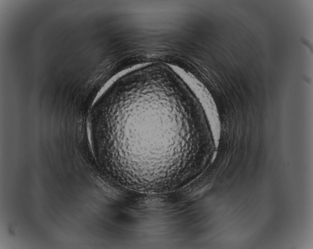 X0000091530462200709071045