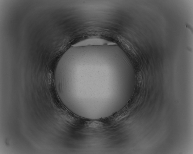 X0000091530463200709071045