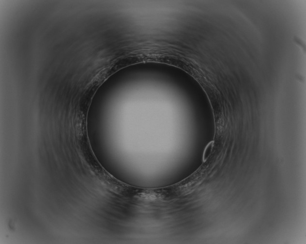 X0000091530464200709071045