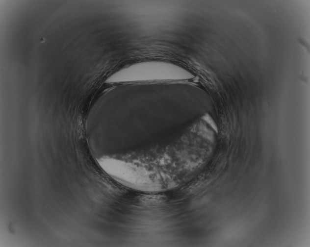 X0000091530465200709071045