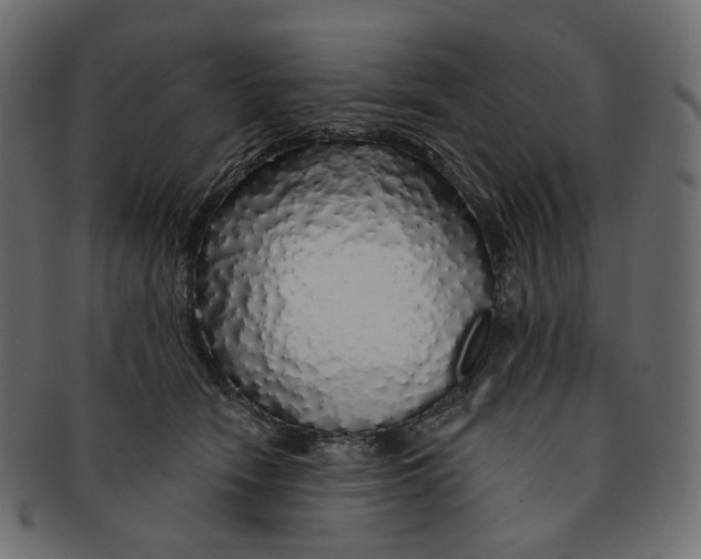 X0000091530466200709071045