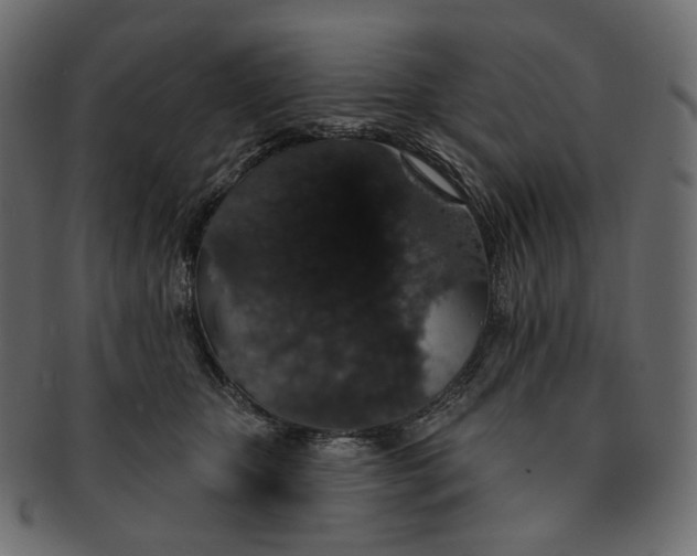 X0000091530467200709071045