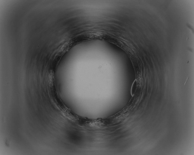 X0000091530468200709071045