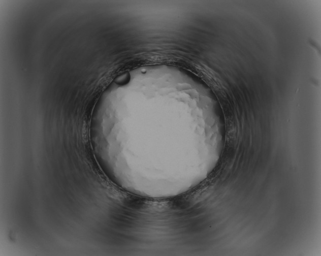 X0000091530469200709071045