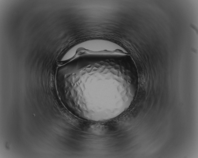X0000091530470200709071045