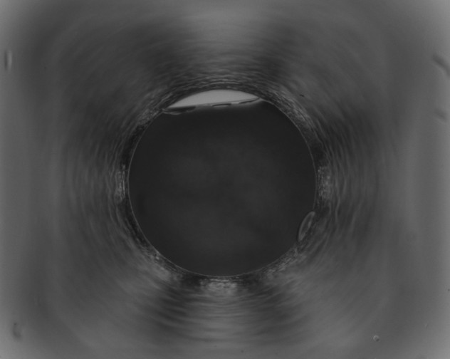 X0000091530471200709071045