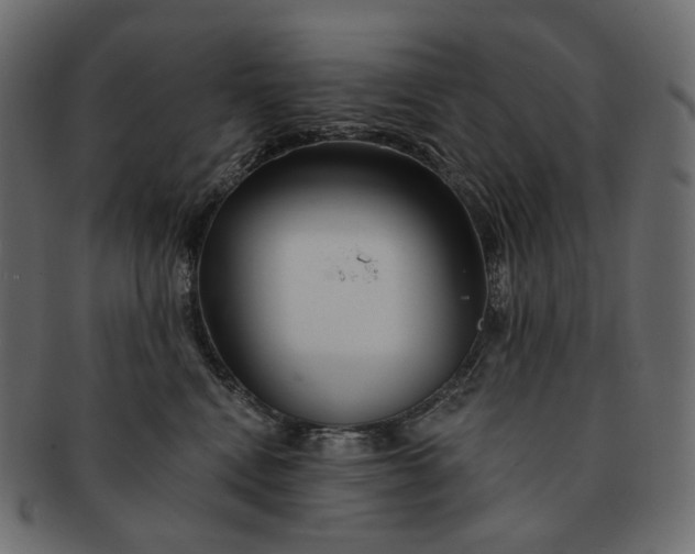 X0000091530472200709071045