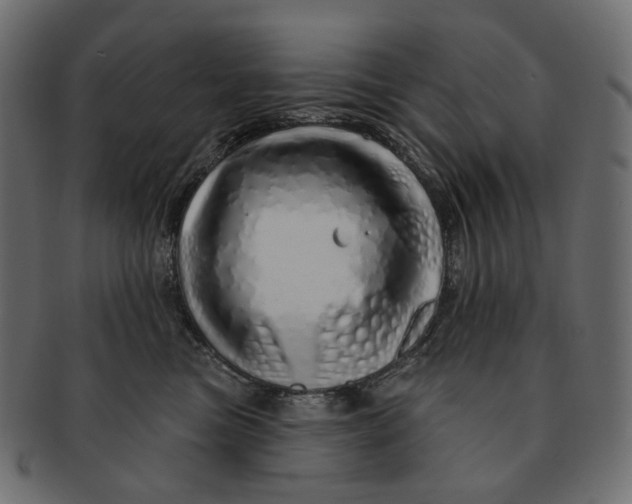 X0000091530473200709071045