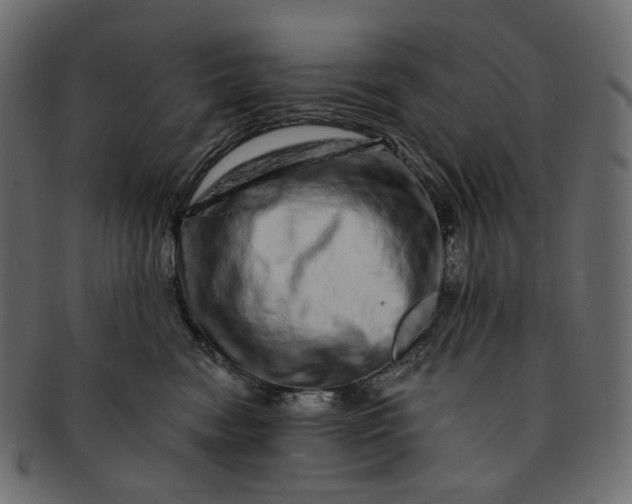 X0000091530474200709071045
