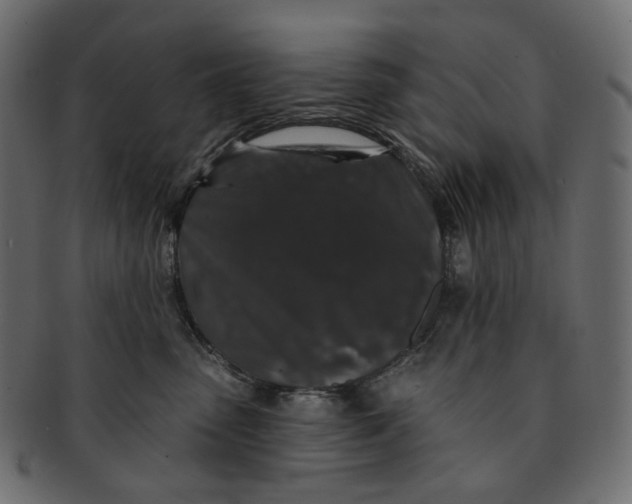 X0000091530475200709071045