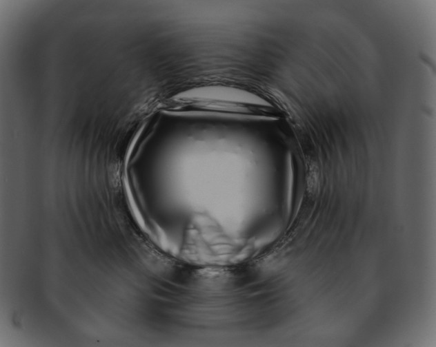 X0000091530477200709071045