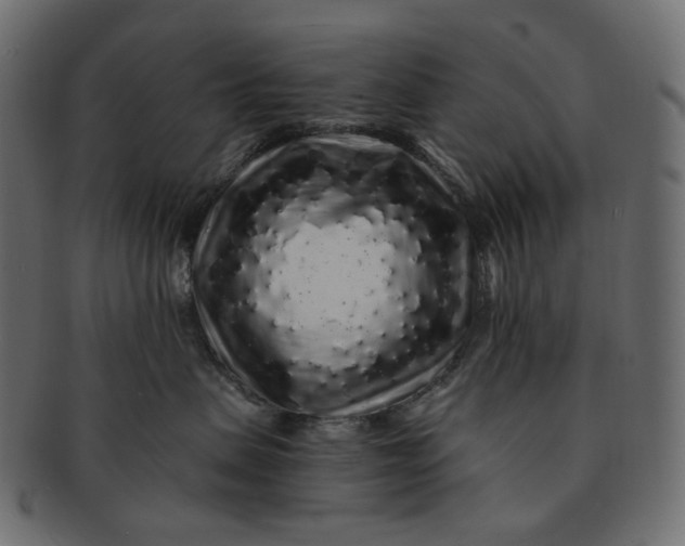 X0000091530479200709071045