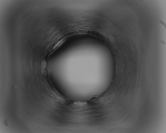 X0000091530480200709071045
