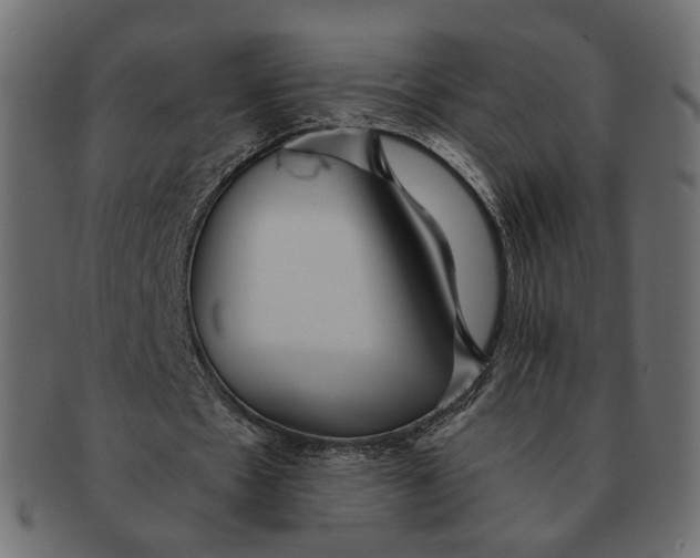 X0000091530481200709071044