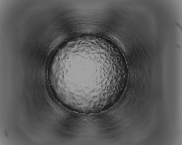 X0000091530482200709071044