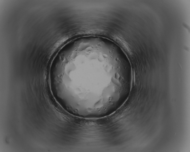 X0000091530483200709071044