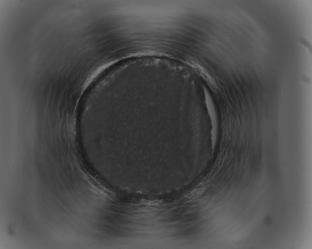 X0000091530484200709071044