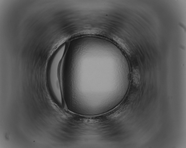 X0000091530486200709071044