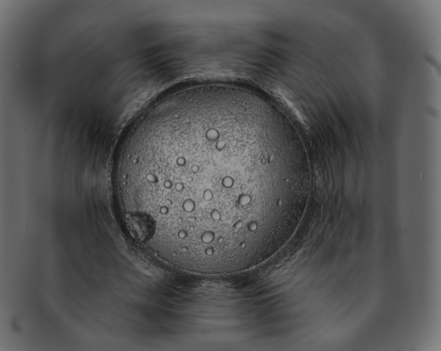 X0000091530487200709071044