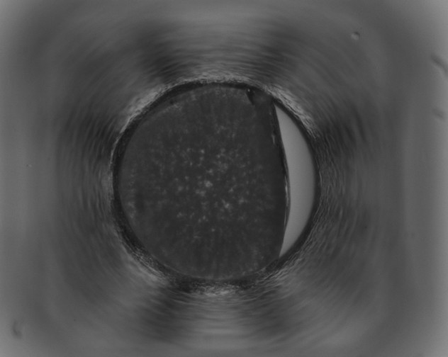X0000091530488200709071044