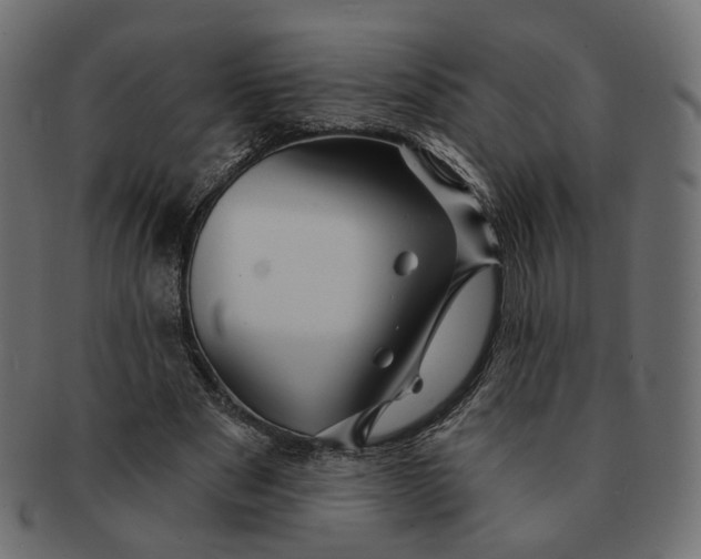 X0000091530489200709071044