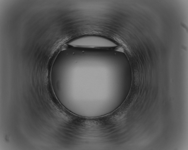 X0000091530490200709071044