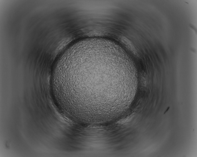 X0000091530491200709071044