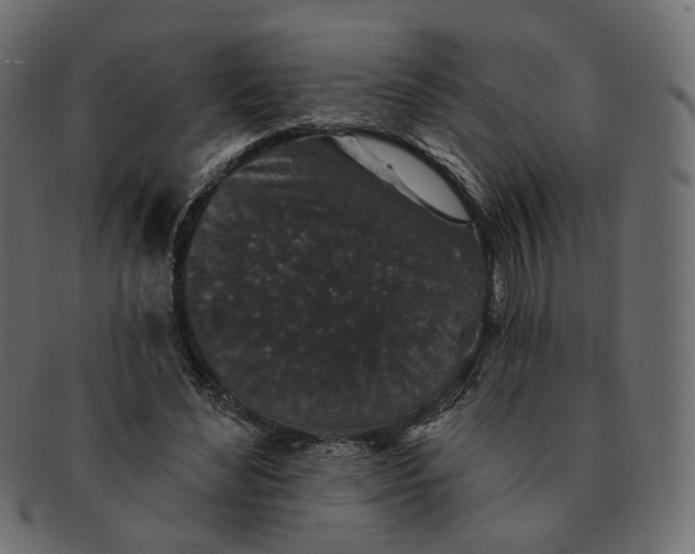 X0000091530492200709071044