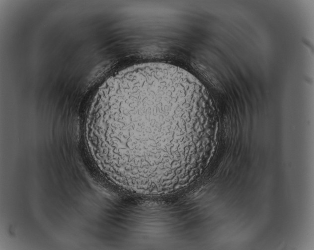 X0000091530494200709071044