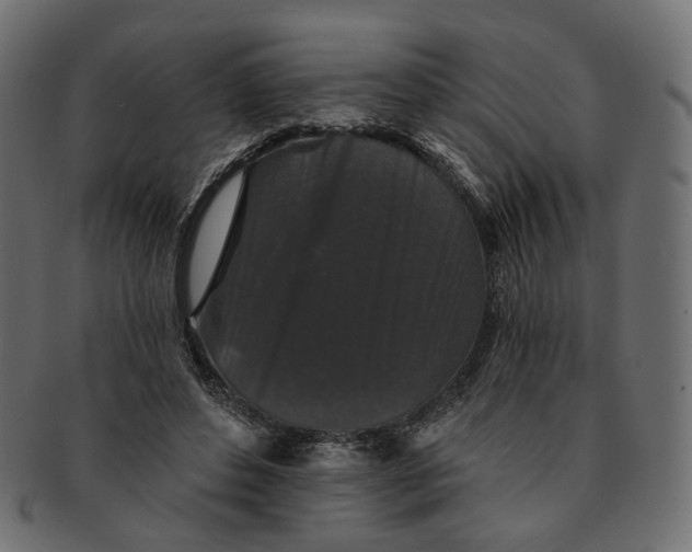 X0000091530496200709071044