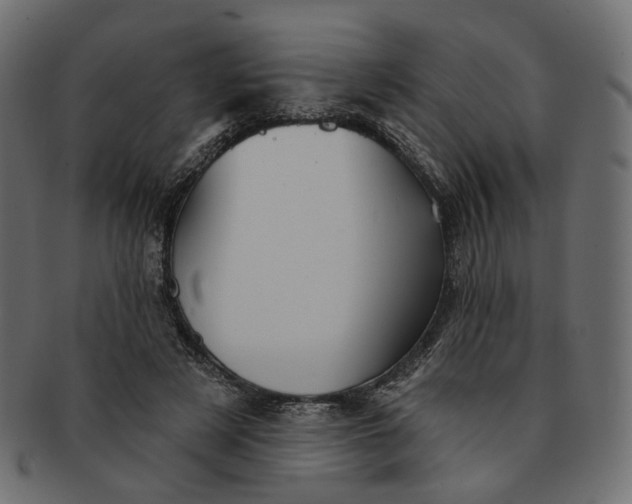 X0000091530497200709071044