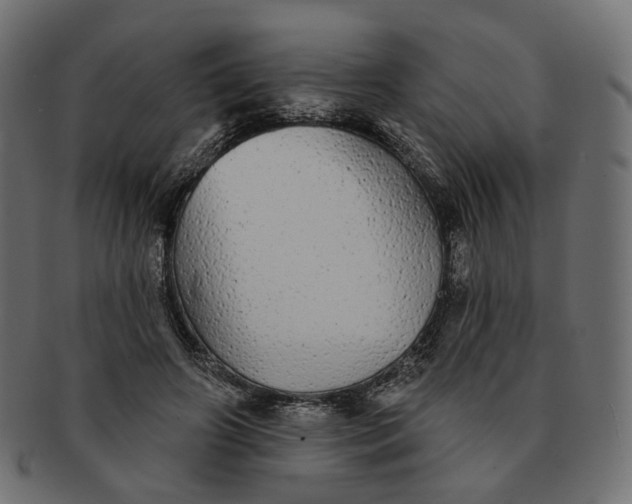X0000091530498200709071044