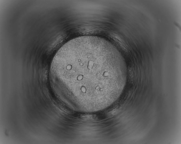 X0000091530499200709071044