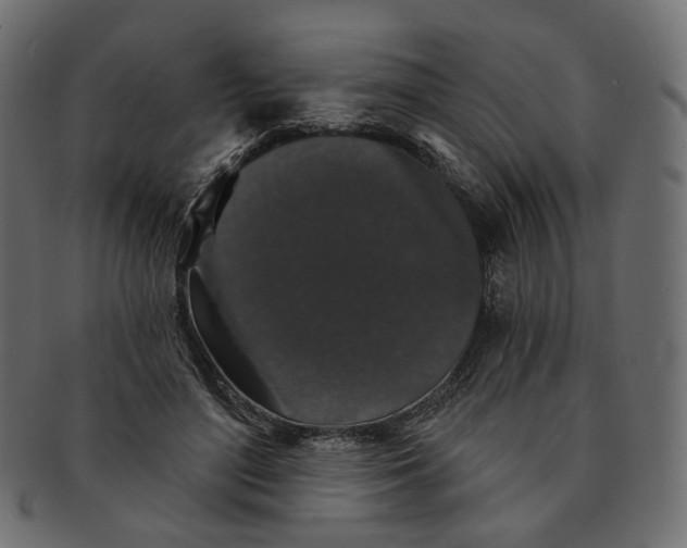 X0000091530500200709071044